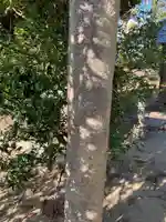 日吉神社(千葉県)