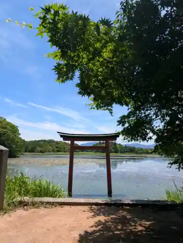 薦神社(大分県)