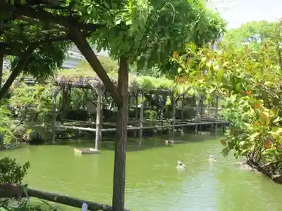 亀戸天神社(東京都)