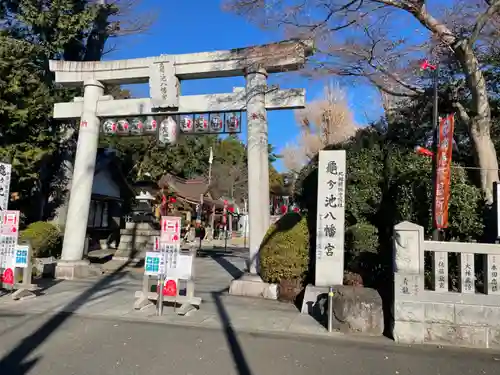 亀ケ池八幡宮の鳥居