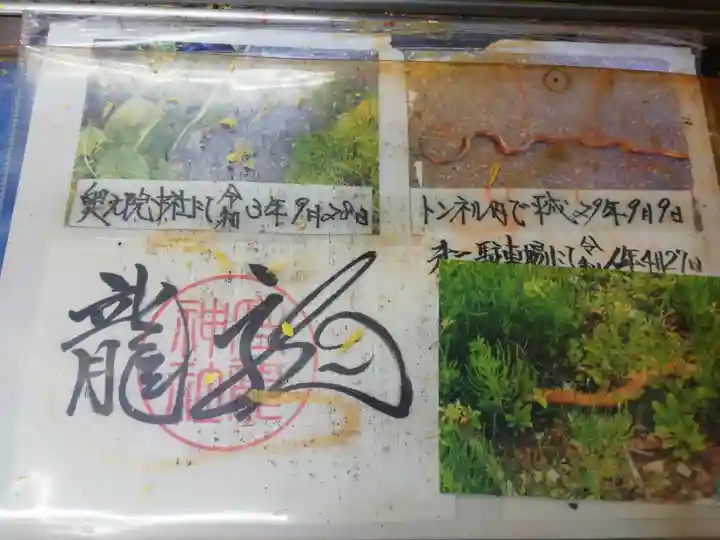 高龍神社(新潟県)