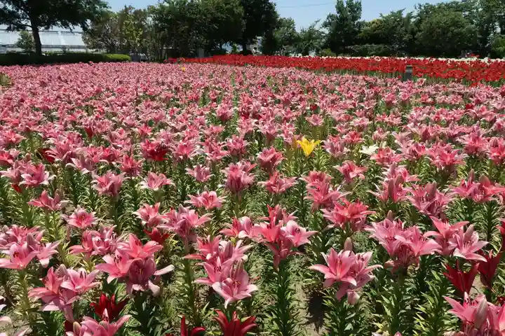 五智如来堂(福井県)