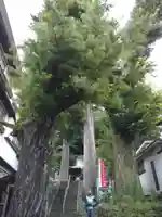 日枝神社(静岡県)