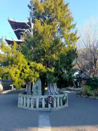 道成寺の建物その他