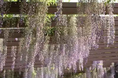 松尾神社(京都府)
