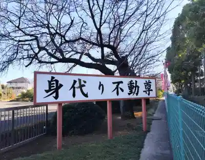 身代り不動尊(大明王院)の{uncategorized: "未分類", other: "その他", undefined: "問題あり", building: "その他建物", grave: "お墓", sacred_gate: "鳥居", guardian: "狛犬", statue: "像", buddha: "仏像", history: "歴史", nature: "自然", garden: "庭園", animal: "動物", pagoda: "塔", temizu: "手水舎", mountain_gate: "山門・神門", sanctuary: "本殿・本堂", subordinate: "末社・摂社", art: "芸術", scenery: "景色", jizo: "地蔵", ema: "絵馬", goshuin: "御朱印", omikuji: "おみくじ", items: "授与品その他", amulet: "お守り", goshuincho: "御朱印帳", eats: "食事", festival: "お祭り", votive_dance: "神楽", shichigosan: "七五三参", wedding: "結婚式", experience: "体験その他", initially: "初詣", around: "周辺", anti_infection: "感染症対策"}