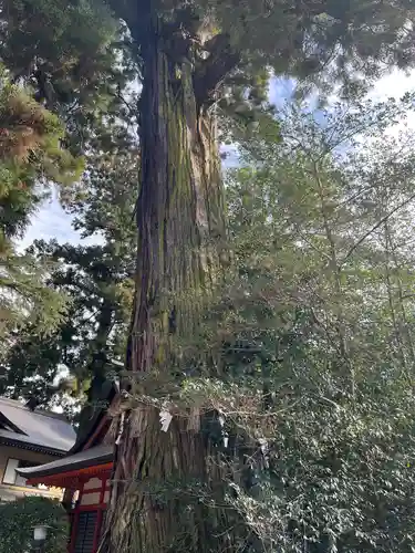 香取神宮(千葉県)
