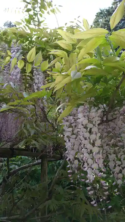 歌泉堂(春日大社神苑萬葉植物園内鎮座)(奈良県)