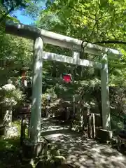 九頭龍神社本宮の鳥居