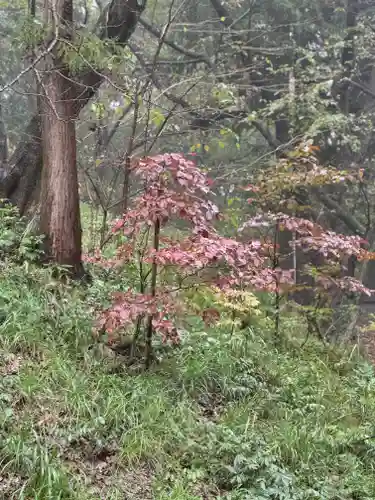 蚊里田八幡宮(長野県)