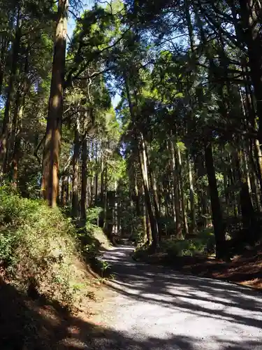 霧島神宮の自然