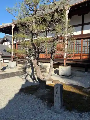龍済寺(愛知県)