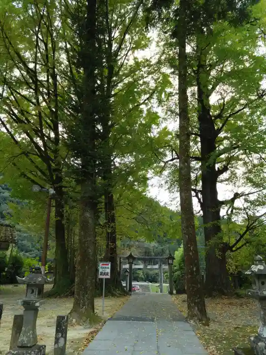 甲佐神社(熊本県)