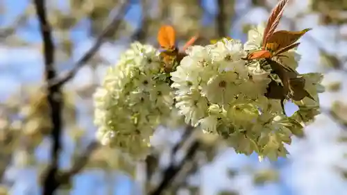 金蛇水神社(宮城県)