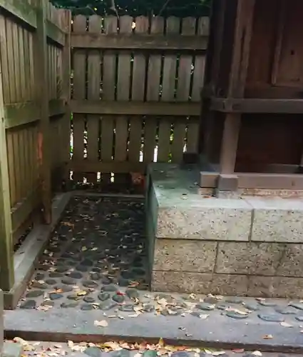 尾張大國霊神社（国府宮）の動物