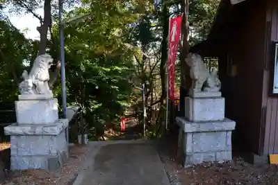 金井八幡神社の狛犬