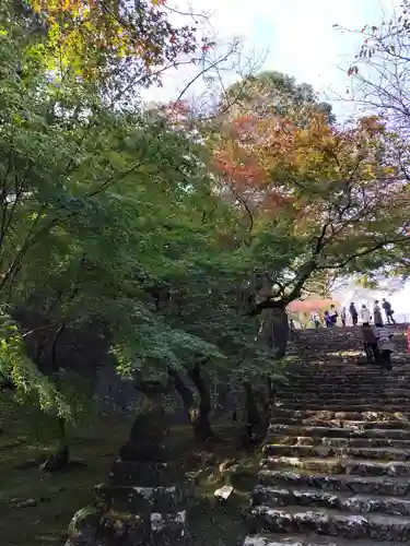竹林寺(高知県)