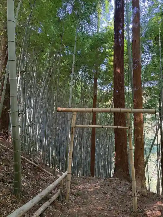 八王寺の{uncategorized: "未分類", other: "その他", undefined: "問題あり", building: "その他建物", grave: "お墓", sacred_gate: "鳥居", guardian: "狛犬", statue: "像", buddha: "仏像", history: "歴史", nature: "自然", garden: "庭園", animal: "動物", pagoda: "塔", temizu: "手水舎", mountain_gate: "山門・神門", sanctuary: "本殿・本堂", subordinate: "末社・摂社", art: "芸術", scenery: "景色", jizo: "地蔵", ema: "絵馬", goshuin: "御朱印", omikuji: "おみくじ", items: "授与品その他", amulet: "お守り", goshuincho: "御朱印帳", eats: "食事", festival: "お祭り", votive_dance: "神楽", shichigosan: "七五三参", wedding: "結婚式", experience: "体験その他", initially: "初詣", around: "周辺", anti_infection: "感染症対策"}
