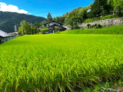 安国寺(岐阜県)