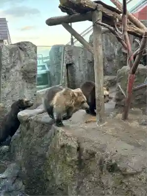 クマ山神社(北海道)