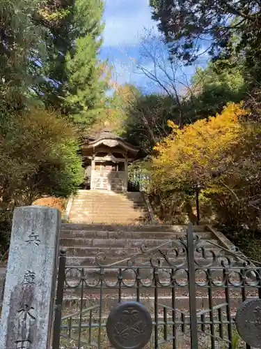 西念寺のお墓