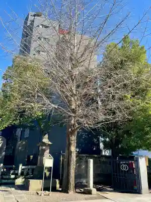 観音寺の{uncategorized: "未分類", other: "その他", undefined: "問題あり", building: "その他建物", grave: "お墓", sacred_gate: "鳥居", guardian: "狛犬", statue: "像", buddha: "仏像", history: "歴史", nature: "自然", garden: "庭園", animal: "動物", pagoda: "塔", temizu: "手水舎", mountain_gate: "山門・神門", sanctuary: "本殿・本堂", subordinate: "末社・摂社", art: "芸術", scenery: "景色", jizo: "地蔵", ema: "絵馬", goshuin: "御朱印", omikuji: "おみくじ", items: "授与品その他", amulet: "お守り", goshuincho: "御朱印帳", eats: "食事", festival: "お祭り", votive_dance: "神楽", shichigosan: "七五三参", wedding: "結婚式", experience: "体験その他", initially: "初詣", around: "周辺", anti_infection: "感染症対策"}