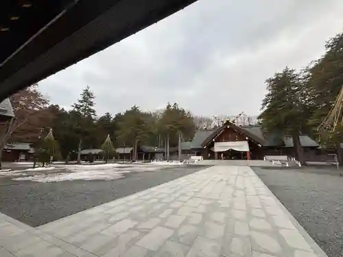 北海道神宮の本殿・本堂