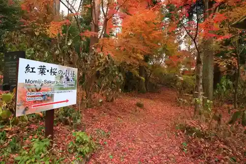 石都々古和気神社の自然