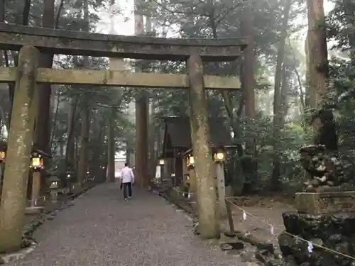 椿大神社の鳥居