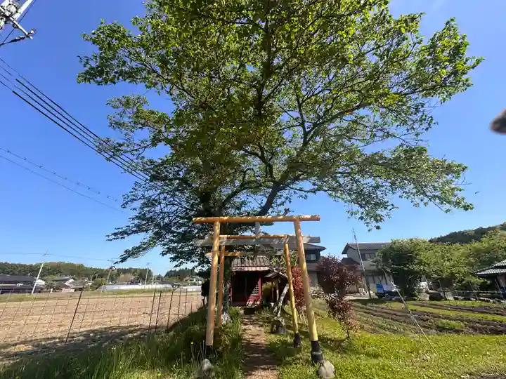 稲荷神社(京都府)