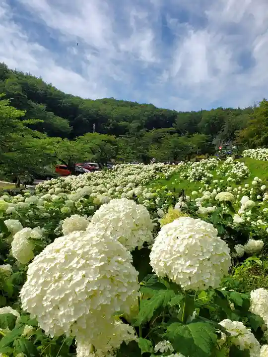 陽林寺(福島県)