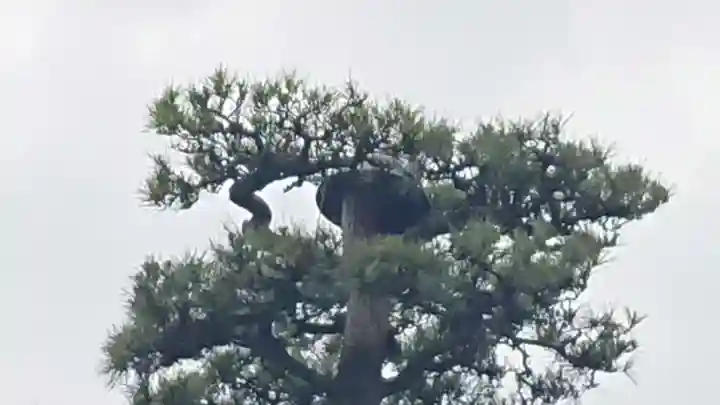 松蔭寺(静岡県)