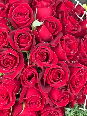 上尾御嶽神社の手水舎