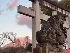 富士山本宮浅間大社の狛犬