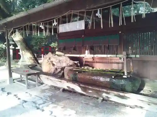 賀茂御祖神社（下鴨神社）の手水舎