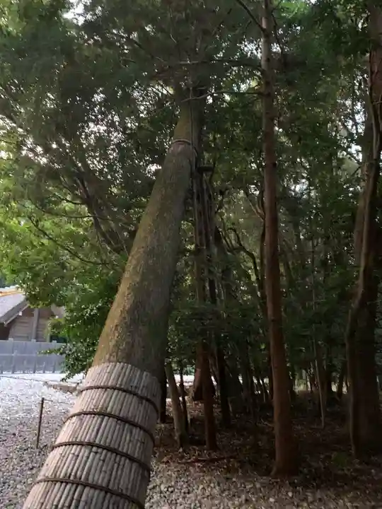 伊雜宮(皇大神宮別宮)の自然