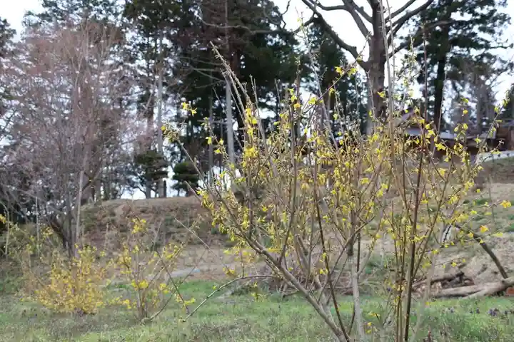 阿久津「田村神社」(郡山市阿久津町)旧社名:伊豆箱根三嶋三社の庭園