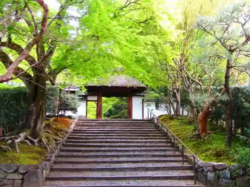 安楽寺の山門