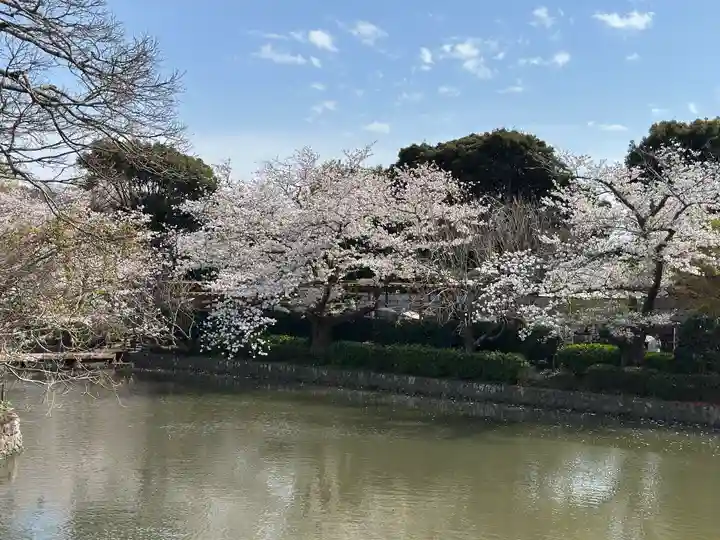 鶴岡八幡宮の景色