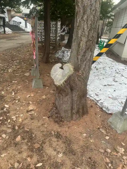 大谷地神社の{uncategorized: "未分類", other: "その他", undefined: "問題あり", building: "その他建物", grave: "お墓", sacred_gate: "鳥居", guardian: "狛犬", statue: "像", buddha: "仏像", history: "歴史", nature: "自然", garden: "庭園", animal: "動物", pagoda: "塔", temizu: "手水舎", mountain_gate: "山門・神門", sanctuary: "本殿・本堂", subordinate: "末社・摂社", art: "芸術", scenery: "景色", jizo: "地蔵", ema: "絵馬", goshuin: "御朱印", omikuji: "おみくじ", items: "授与品その他", amulet: "お守り", goshuincho: "御朱印帳", eats: "食事", festival: "お祭り", votive_dance: "神楽", shichigosan: "七五三参", wedding: "結婚式", experience: "体験その他", initially: "初詣", around: "周辺", anti_infection: "感染症対策"}