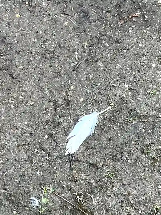 五所駒瀧神社(茨城県)
