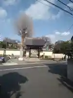 東福寺の山門・神門