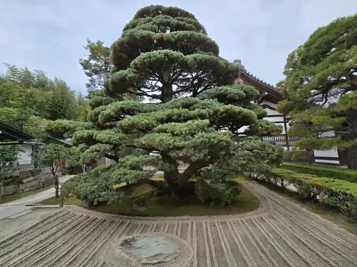 慈照寺(慈照禅寺・銀閣寺)(京都府)