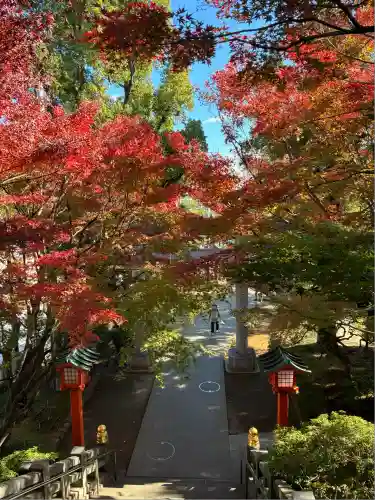 穴八幡宮(東京都)