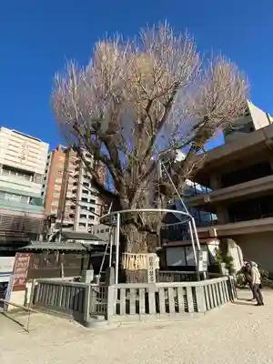 櫛田神社(福岡県)