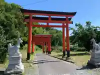 高屋敷稲荷神社の鳥居