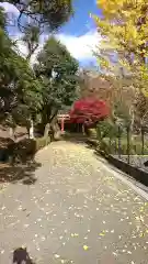 塙田八幡宮の建物その他