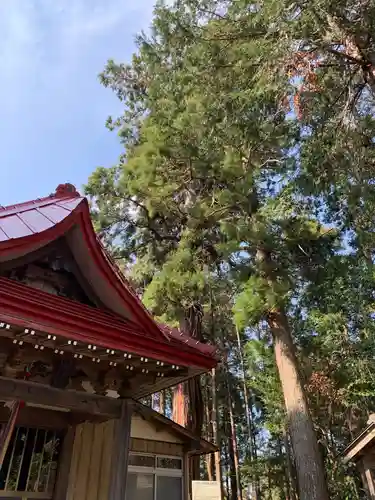 白山神社の本殿・本堂