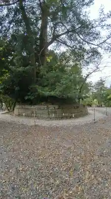 玉前神社(千葉県)