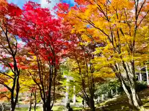 土津神社|こどもと出世の神さまの自然(2021年10月29日(金) 12時28分07秒投稿)